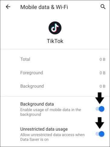 enable-background-data-usage-tiktok2